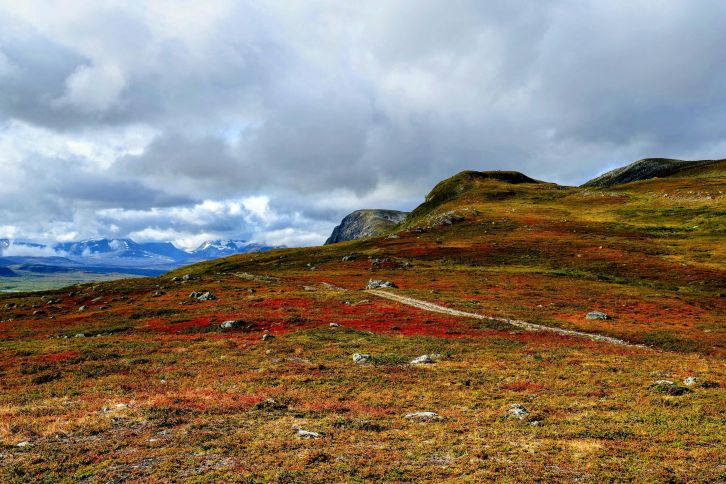 Enontekio-Lappi